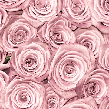 Artwork thumbnail, Pink Roses by click4collage