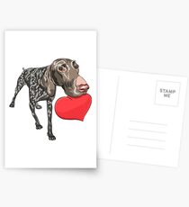 Kurzhaar with red heart Postcards