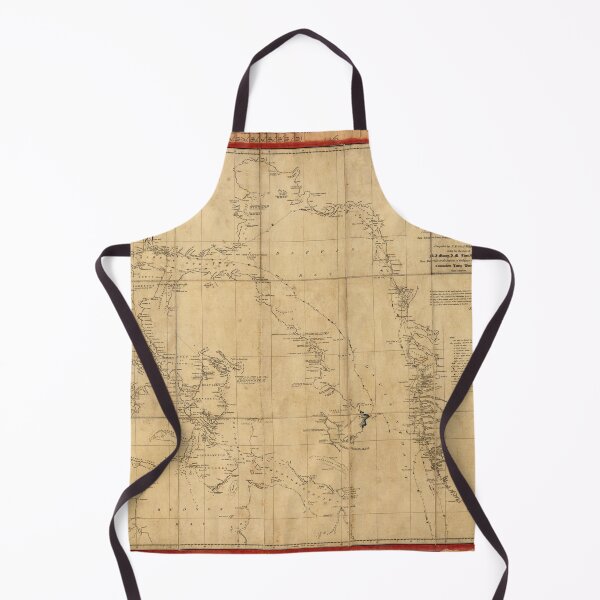 Item preview, American Arctic Expedition Map (1853) designed and sold by allhistory.