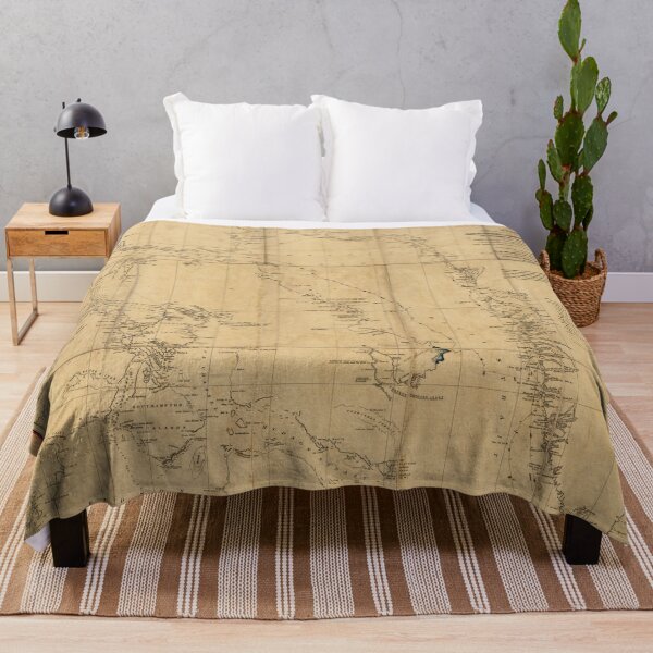 Item preview, American Arctic Expedition Map (1853) designed and sold by allhistory.