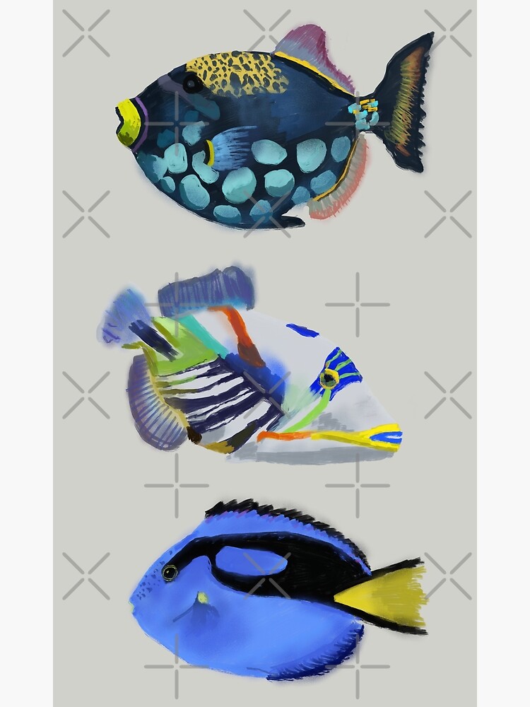 Fish Gallery Wall Art Print Set of 3 – ArtByAlexandraNicole