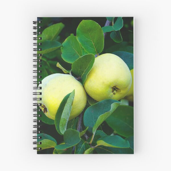 Item preview, Golden Quince, Apple or a Pear? designed and sold by ALEX PHOTO DREAMS.
