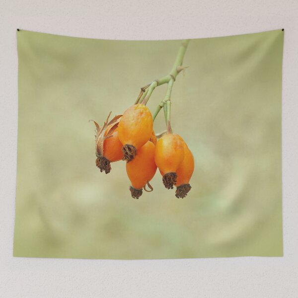 Item preview, Rose Hip in Autumn Rhapsody designed and sold by ALEX PHOTO DREAMS.