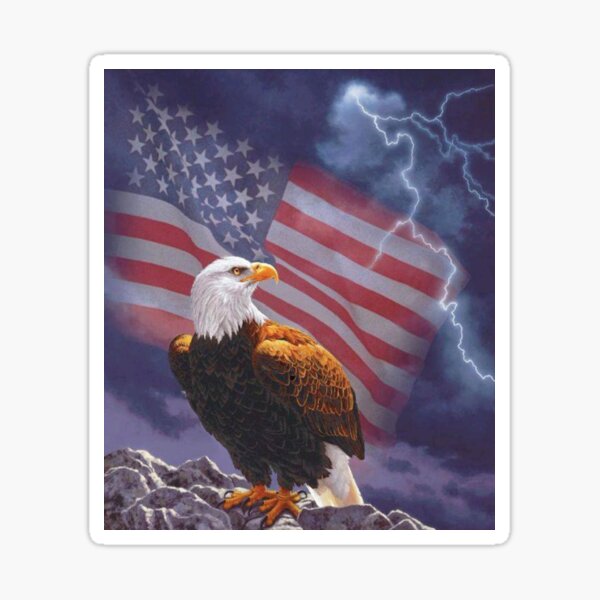 Item preview, American Flag Bald Eagle Lightning designed and sold by Graphic Master.
