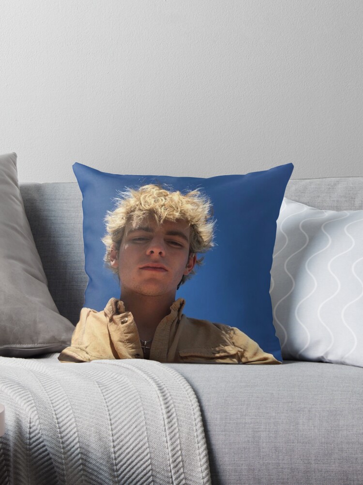 Ross cushions 2024