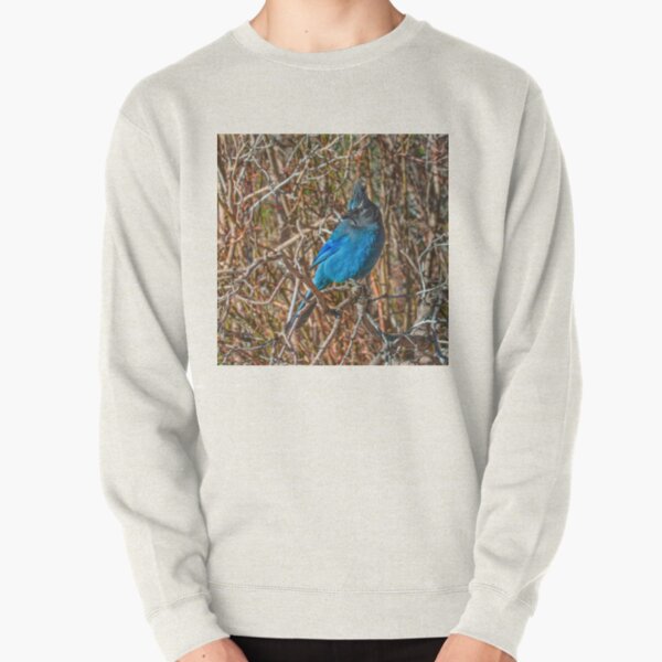 Mountain Blue Jay Pullover Sweatshirt