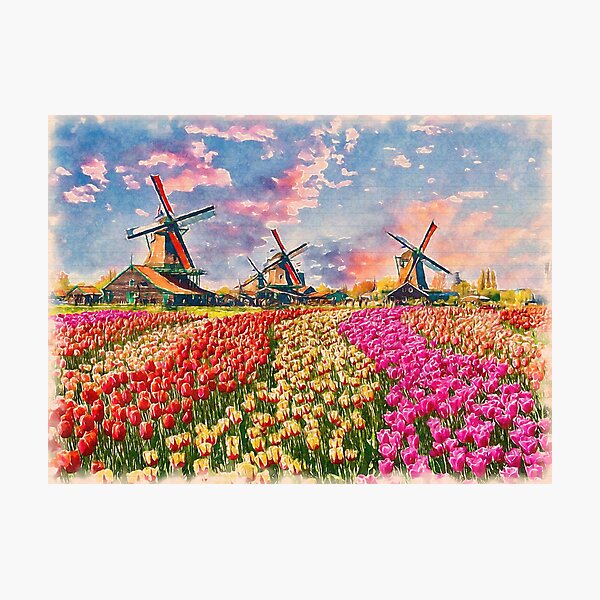 Item preview, Painting of Windmills and Tulip Fields in the Netherlands  designed and sold by StudioAvalon.