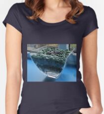 Blue Window Display Women's Fitted Scoop T-Shirt