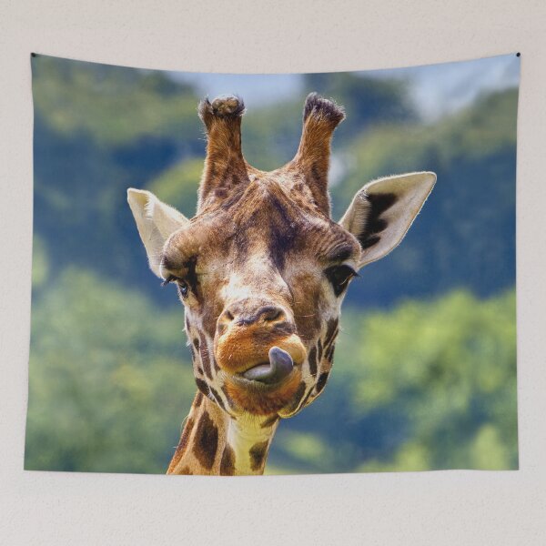 Item preview, Rothschild Giraffe sticking out its tongue designed and sold by Andy Harker.