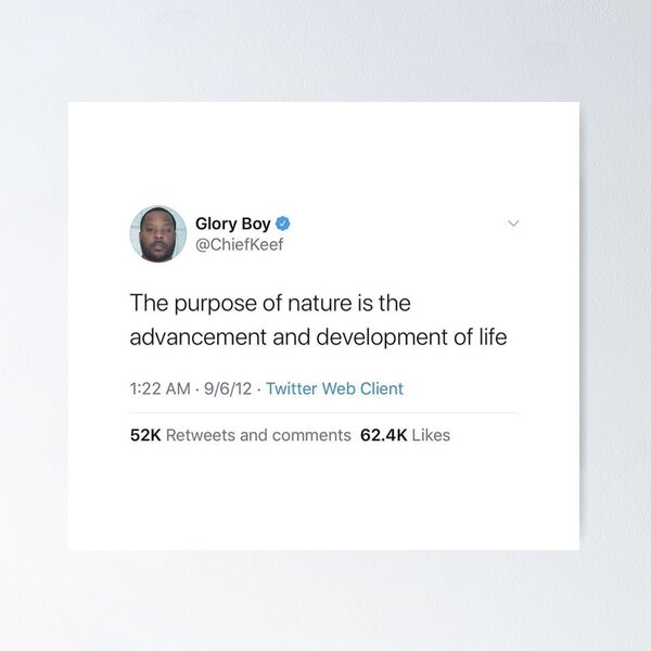 Item preview, Chief Keef Funny Tweet - Nature designed and sold by HipHopFactory.