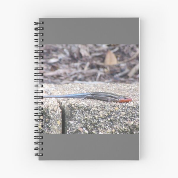 Item preview, Little Lizard Lying in the Lovely Sunshine. designed and sold by Mariann Moritz.