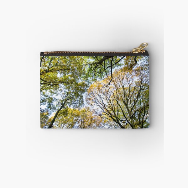 Artikelvorschau, Blick in die Bäume. Altes Holz in der Nähe von Ludlow entworfen und verkauft von HalcyonPrints.