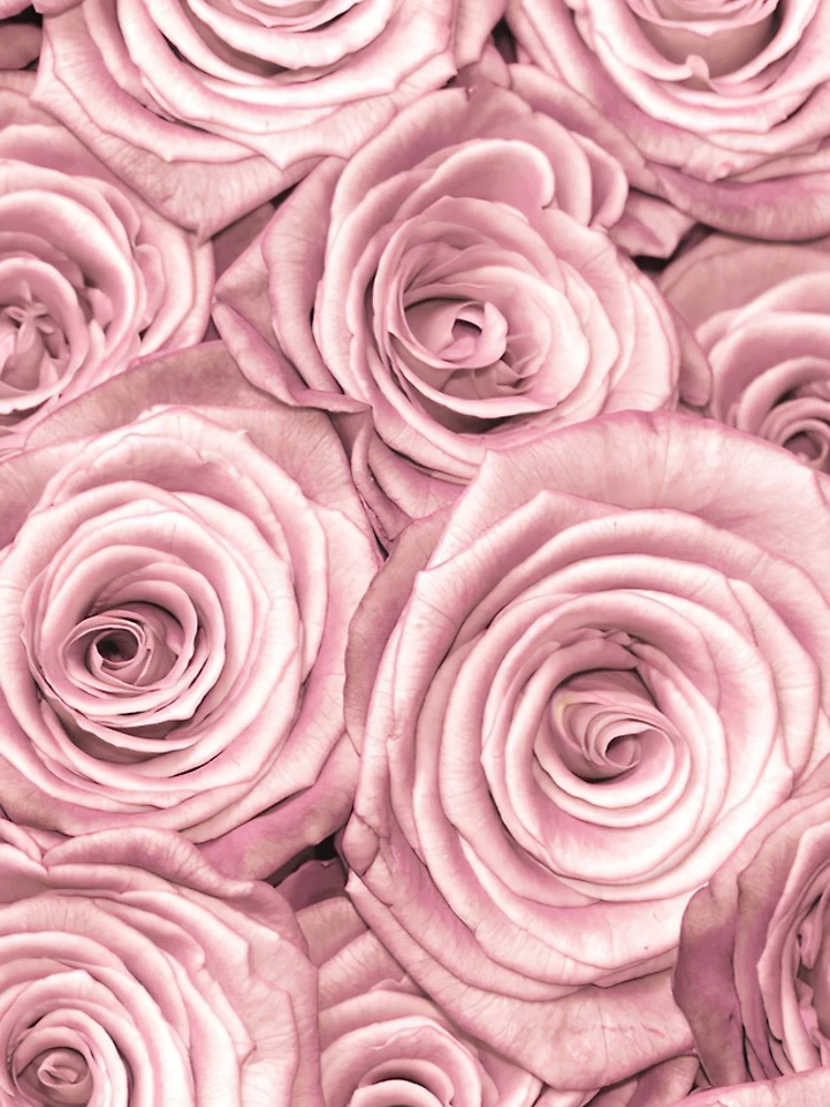 Thumbnail 5 of 5, iPhone Case, Pink Roses designed and sold by click4collage.