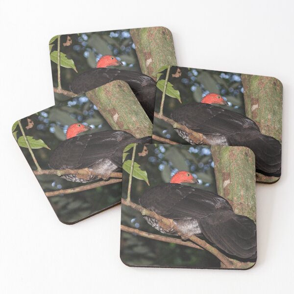 Item preview, Australian Brush-turkey ~ Red Head designed and sold by Robert Elliott.