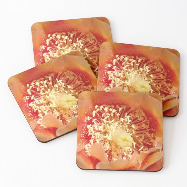 Item preview, Close up of Prickly Pear Flower designed and sold by Allen Penton.