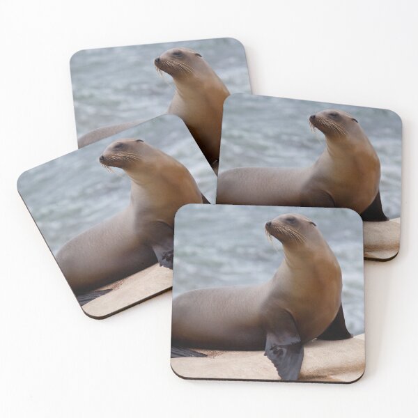Item preview, Sea Lion designed and sold by Jacquelie.