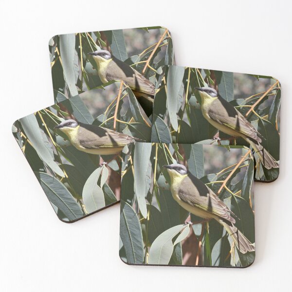 Item preview, Grey-headed Honeyeater  designed and sold by Robert Elliott.