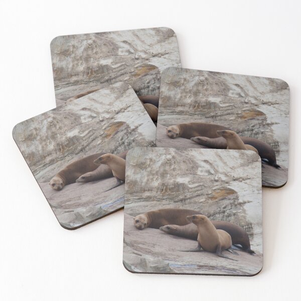 Item preview, Lazy Sea Lions designed and sold by Jacquelie.