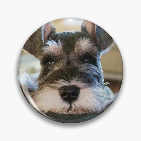 Item preview, Schnauzer dog pets dogs cute puppy designed and sold by Coolstuff4you71.