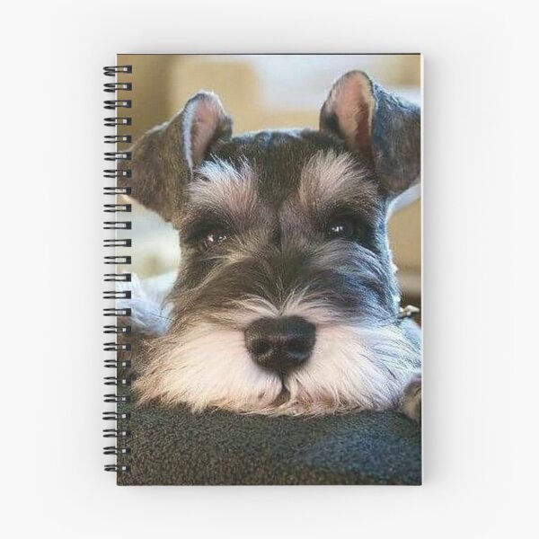 Item preview, Schnauzer dog pets dogs cute puppy designed and sold by Coolstuff4you71.