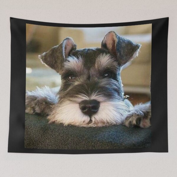 Item preview, Schnauzer dog pets dogs cute puppy designed and sold by Coolstuff4you71.