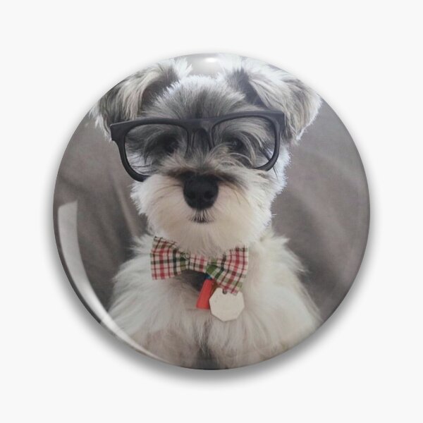 Item preview, Schnauzer dog with glasses pets dogs cute puppy designed and sold by Coolstuff4you71.