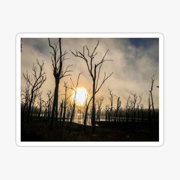Fiery skies Sticker