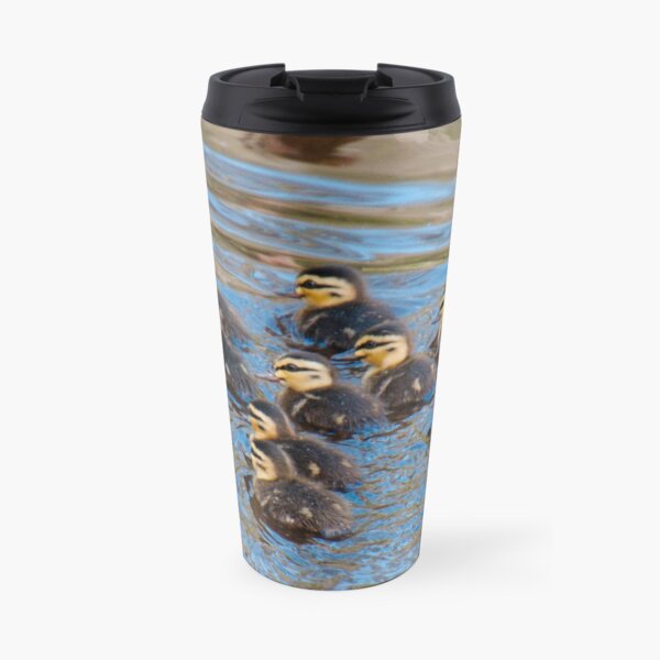 WATERFOWL ~ Pacific Black Duck BCXEND4K by David Irwin 06012021 Travel Mug