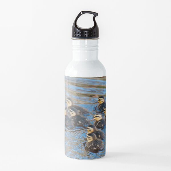 WATERFOWL ~ Pacific Black Duck BCXEND4K by David Irwin 06012021 Water Bottle