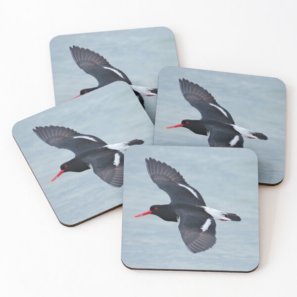 Item preview, SHOREBIRD ~ Pied Oystercatcher cxu5ikhZ by David Irwin 06012021 designed and sold by tasmanianartist.