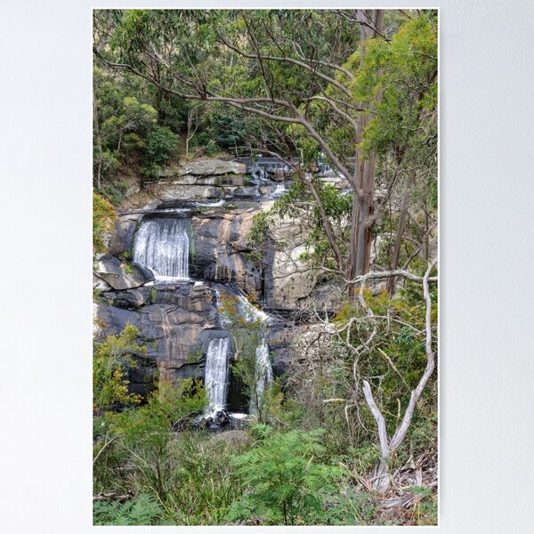 Item preview, Agnes Falls designed and sold by Werner Padarin.