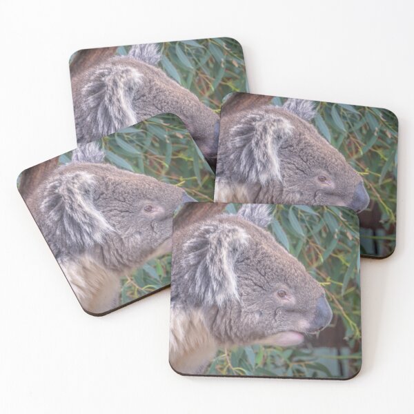 Item preview, The Curious Koala designed and sold by Steven Jodoin.
