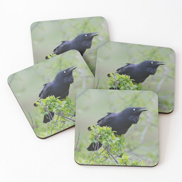 Item preview, RAVEN ~ Forest Raven PFX9Y9XQ by David Irwin 06012021 designed and sold by tasmanianartist.