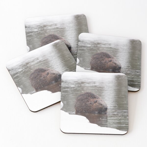 Item preview, Busy Beaver designed and sold by mlorenz.