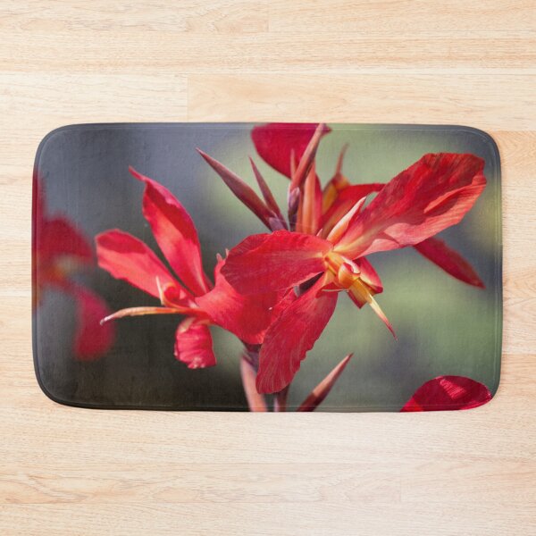 Item preview, Balboa Park designed and sold by Jacquelie.
