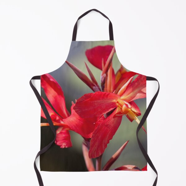 Item preview, Balboa Park designed and sold by Jacquelie.