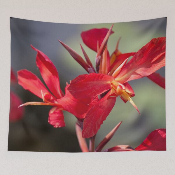Item preview, Balboa Park designed and sold by Jacquelie.