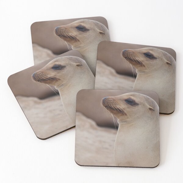 Item preview, Sea Lion Friend  designed and sold by Jacquelie.