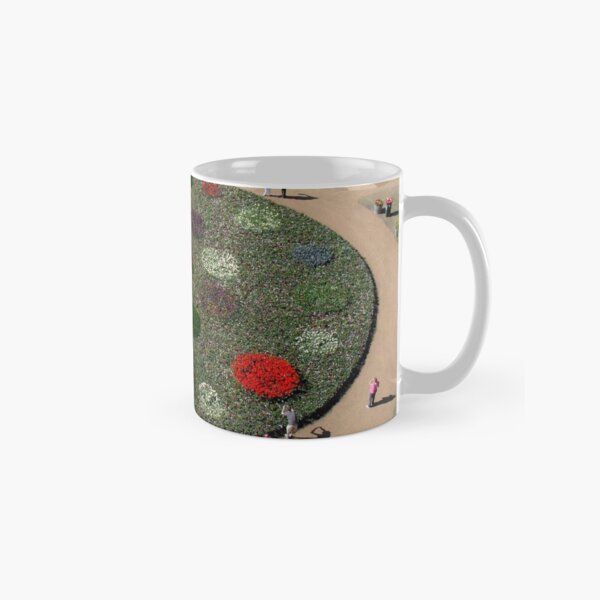 From Above Classic Mug