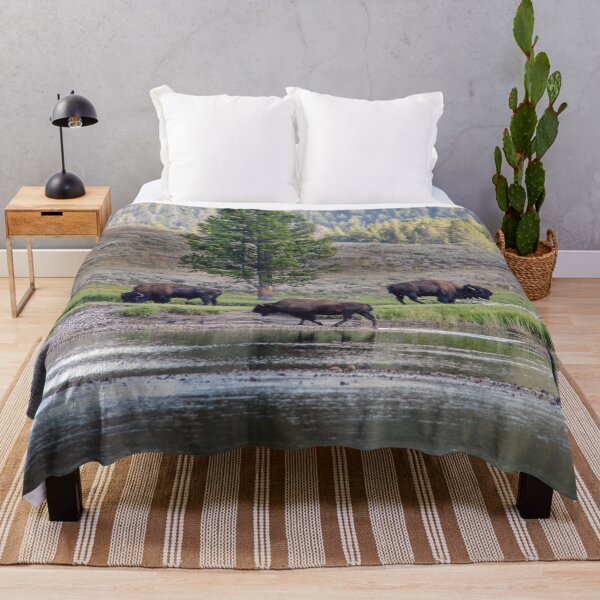 Item preview, Three Buffalo grazing in Yellowstone designed and sold by Susan Sheldon.