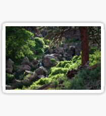 Sunny Riverbank Sticker