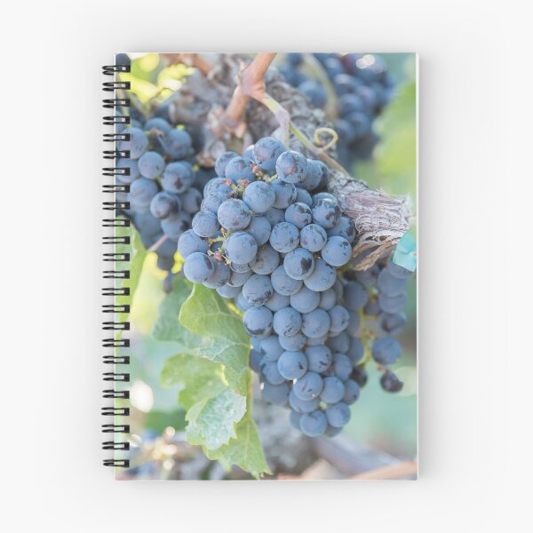 Item preview, Summer Grapes on the Vine in the Okanagan Valley designed and sold by Amy Mitchell.