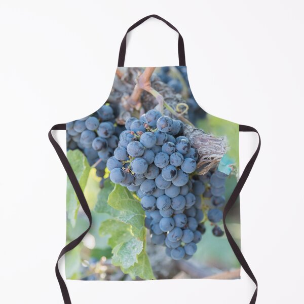 Item preview, Summer Grapes on the Vine in the Okanagan Valley designed and sold by Amy Mitchell.