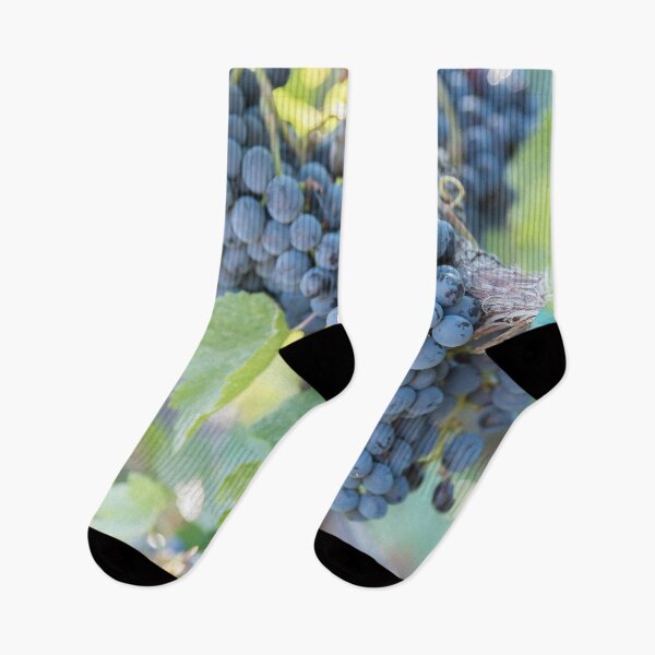 Item preview, Summer Grapes on the Vine in the Okanagan Valley designed and sold by Amy Mitchell.