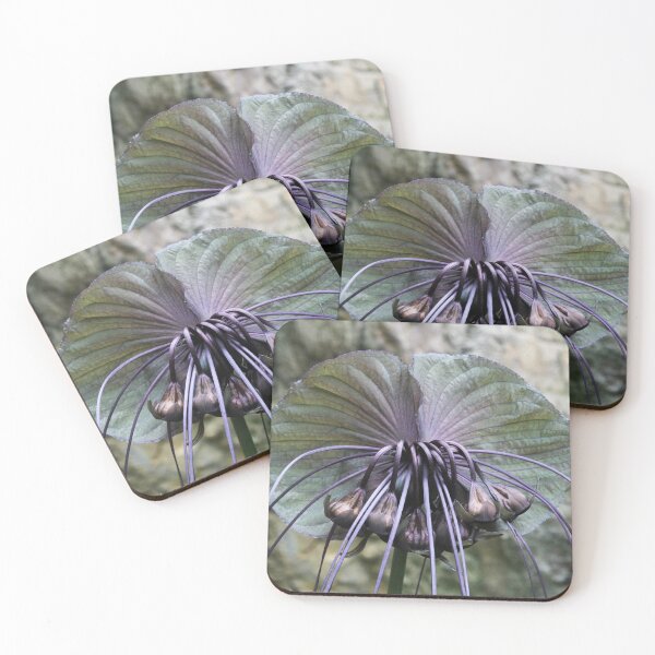 Item preview, Black orchid designed and sold by Elizabeth Dale.
