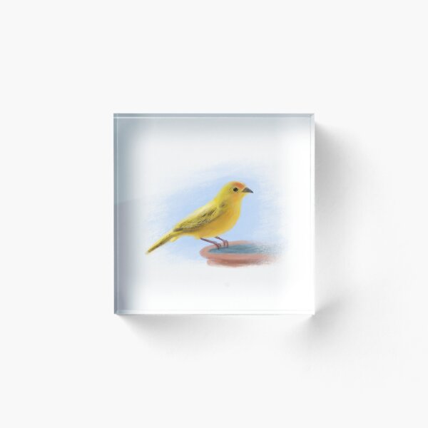 Aperçu de l'œuvre Dessin d'oiseau - Canari créée et vendue par ExtinctNotebook.
