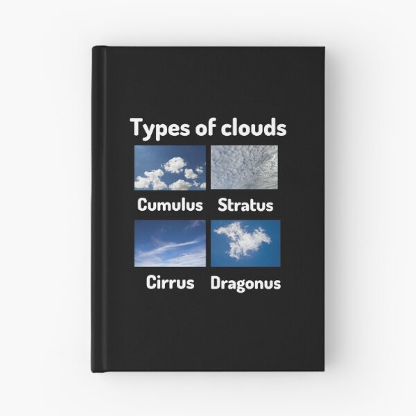 Item preview, Types of clouds (cumulus, stratus, cirrus, dragonus) designed and sold by Ollie P.  Leo.