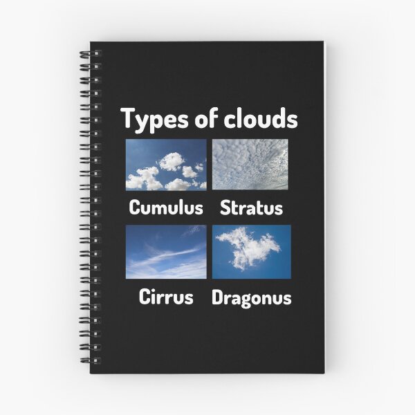 Item preview, Types of clouds (cumulus, stratus, cirrus, dragonus) designed and sold by Ollie P.  Leo.