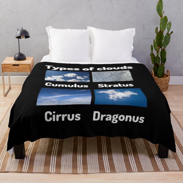 Item preview, Types of clouds (cumulus, stratus, cirrus, dragonus) designed and sold by Ollie P.  Leo.