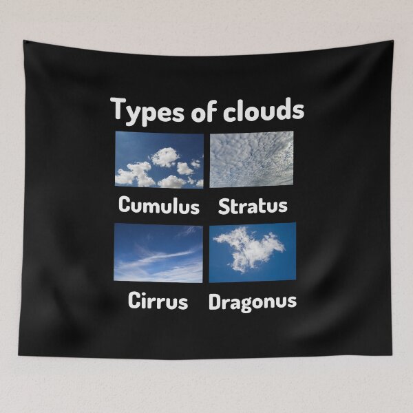 Item preview, Types of clouds (cumulus, stratus, cirrus, dragonus) designed and sold by Ollie P.  Leo.